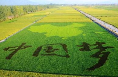 农业公司起名大全简单大气