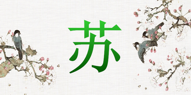 男孩名字苏姓，苏姓男宝宝取名大全