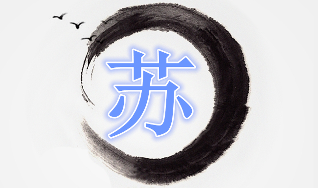 姓苏的男孩儿名字，姓苏的女孩起什么名字好？