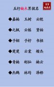 琪字的男孩名字寓意-琪字的男孩名字寓意有哪些？