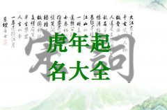 虎年男孩名字-虎年出生的男孩名字