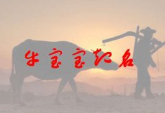 任姓男宝宝取名-2022虎年最旺任姓男孩名字