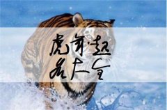 曾姓虎宝宝取名-曾氏 凡字辈 虎年该如何取名