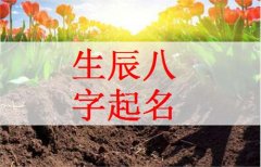 小孩起名生辰八字查询免费-婴儿取名按生辰八字，生辰八字免费