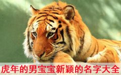 虎宝宝起名男宝-属虎的男孩儿取什么名字好