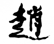 赵姓男孩起名字大全