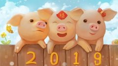 属猪的双胞胎男宝宝起名大全