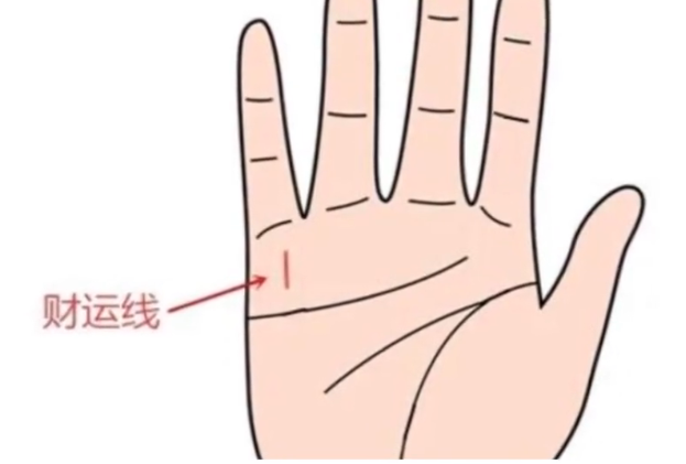 罕见的富贵女人手相  罕见的10种富贵手相有哪些
