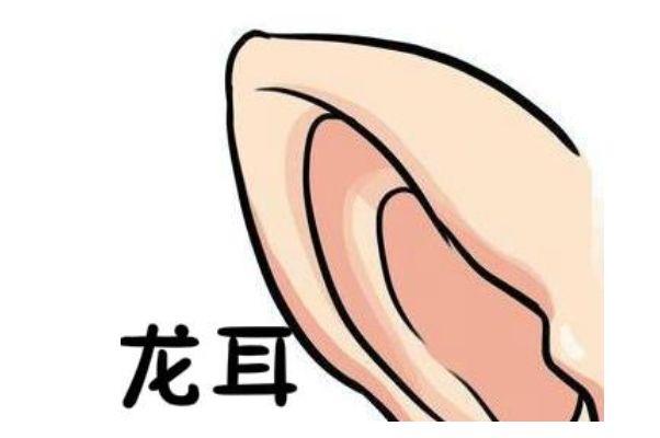 龙耳的人命运如何（耳朵什么是龙耳特征)