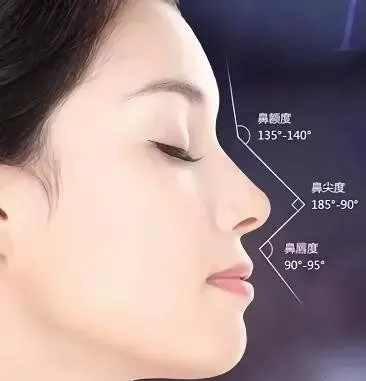 鼻子高挺鼻头大的女人命运（鼻子高挺的女人是富贵命)