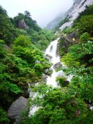 五行木字最旺的字取名女孩-五行属木，寓意良好。五种元素属于