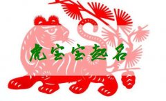 属虎女宝宝取名字大全-虎年出生的女婴叫什么名字好