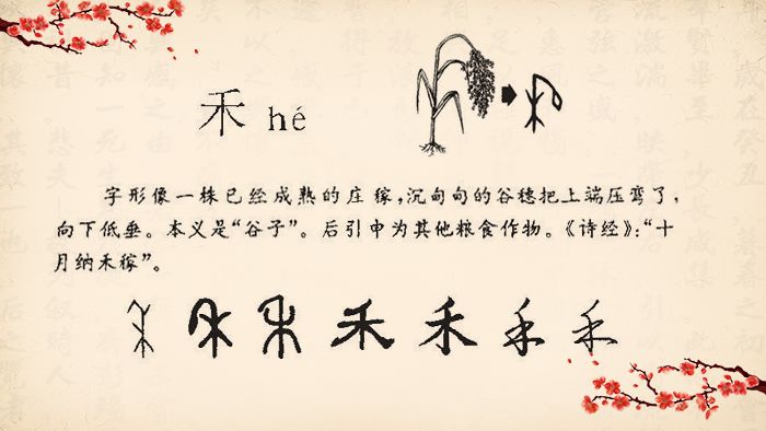 3、和豆米两个字旁边的女孩叫什么名字?