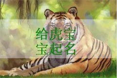 姓卢的女宝宝起名-虎年卢姓女孩起名