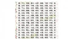 好听罕见绝不重名的女孩名字-好听又少见的女孩名字，从来没有