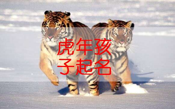 4.虎年女婴小名洋气