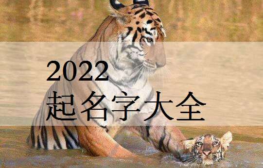 2.虎年女宝宝有什么昵称?