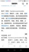 女孩名字带有栀好不好-超美的古风名字