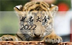 100分王姓女孩好名字属虎-属虎女孩取名的吉祥字王姓 发展前景