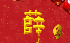 薛姓女孩名字大全-薛姓起名有什么？
