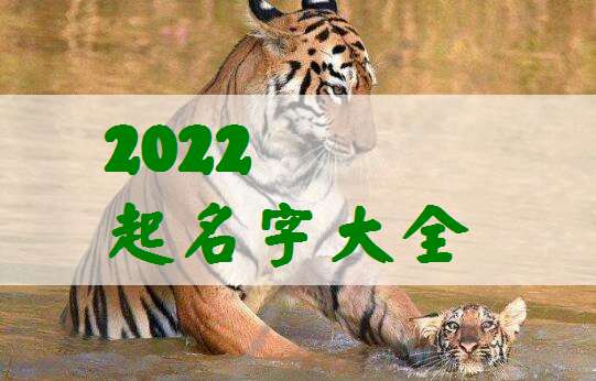 4.虎年最旺女孩的名字,给宝宝起名字。