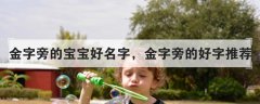 金字旁的字取名女孩-金字旁的女孩名字？