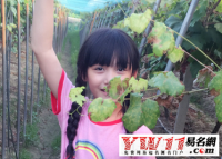 最好听的女孩起名字大全